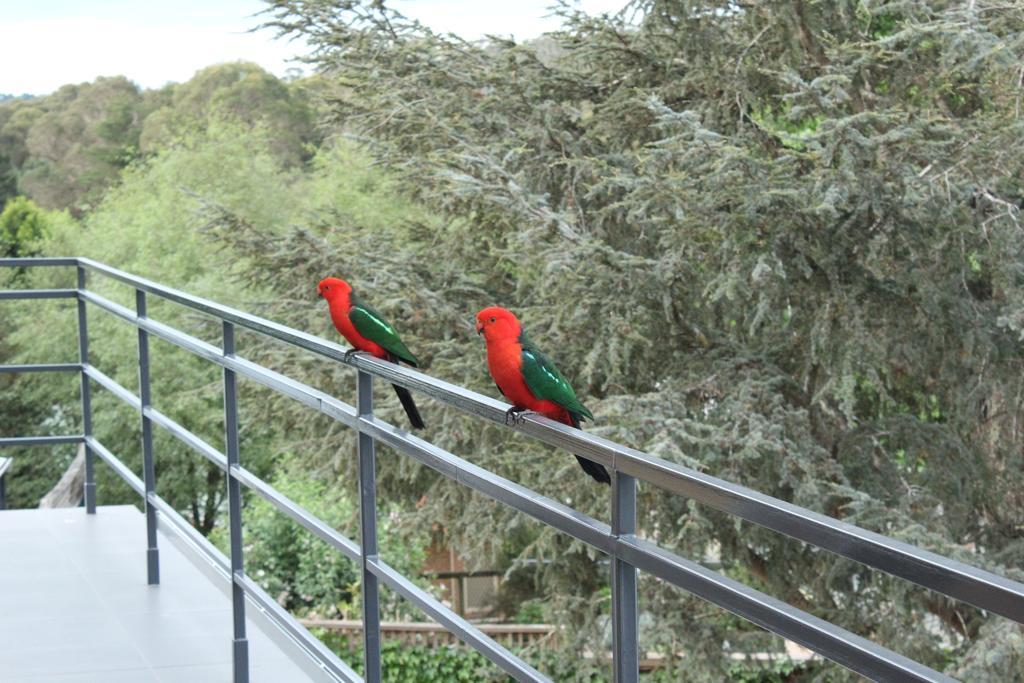 Bundanoon Lodge Luaran gambar